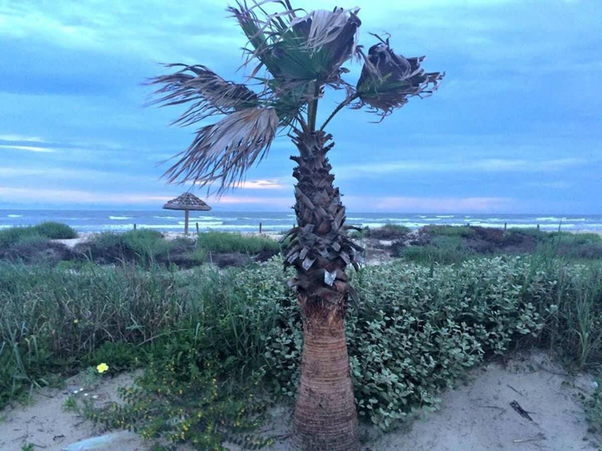 Fun In The Sun! Cozy Beach Pad, Gulf Views And Easy Access To The Sand! Surfside Beach Exterior photo